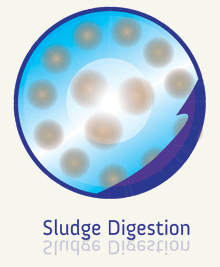 Sludge Digestion Products