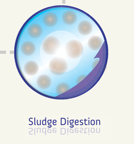 Sludge Digestion Products